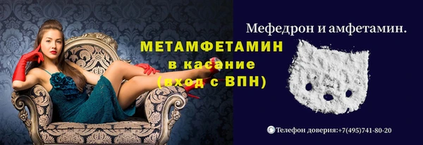 шишки Арсеньев
