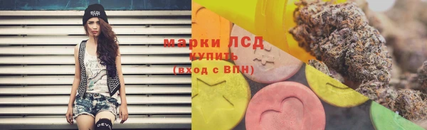 шишки Арсеньев
