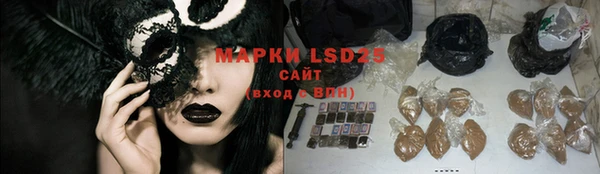 шишки Арсеньев