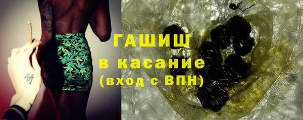шишки Арсеньев