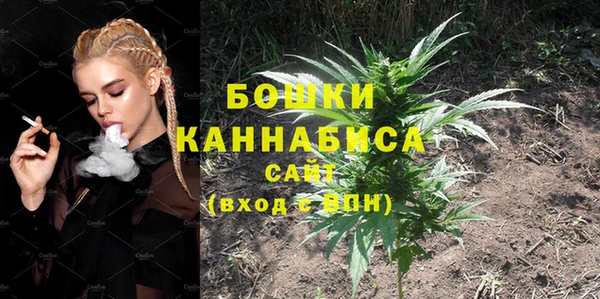 шишки Арсеньев