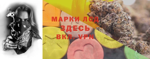 шишки Арсеньев